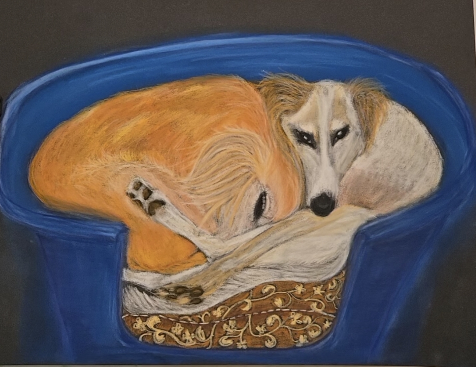 Saluki in a basketSoft pastels/pastel pencils