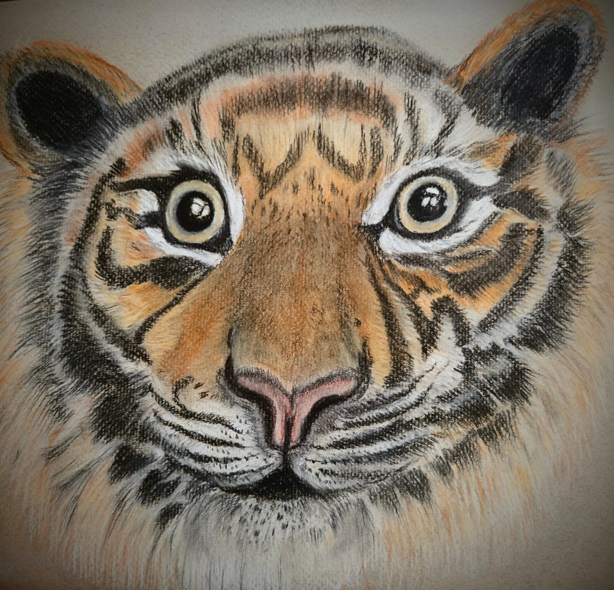 Tiger cubpastel pencils
